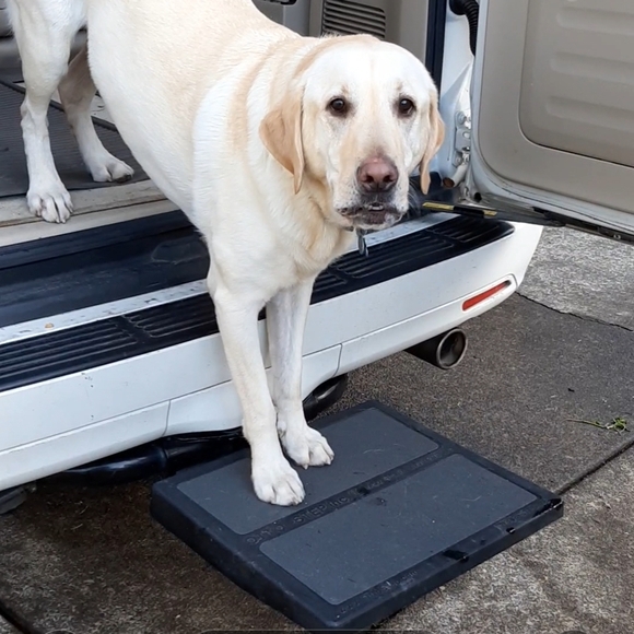 OTTO STEP PORTABLE Travel Step for Dogs - Picture 3 of 7